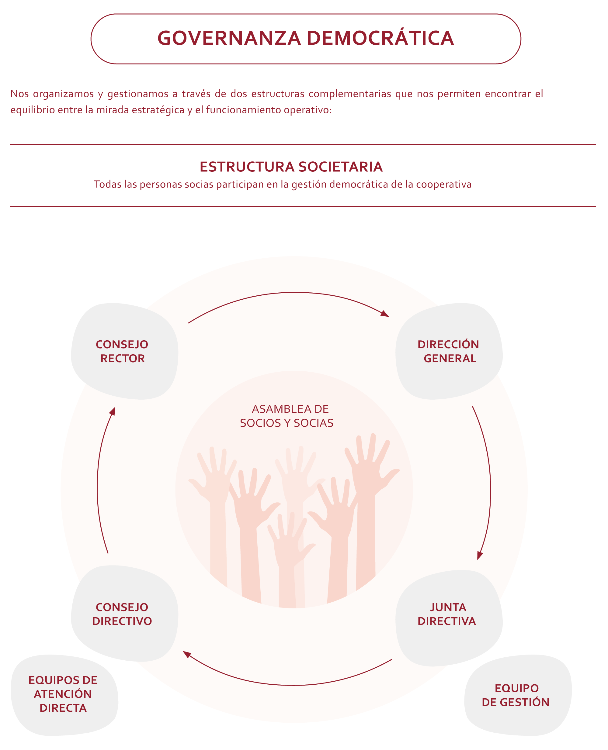 organigrama-02